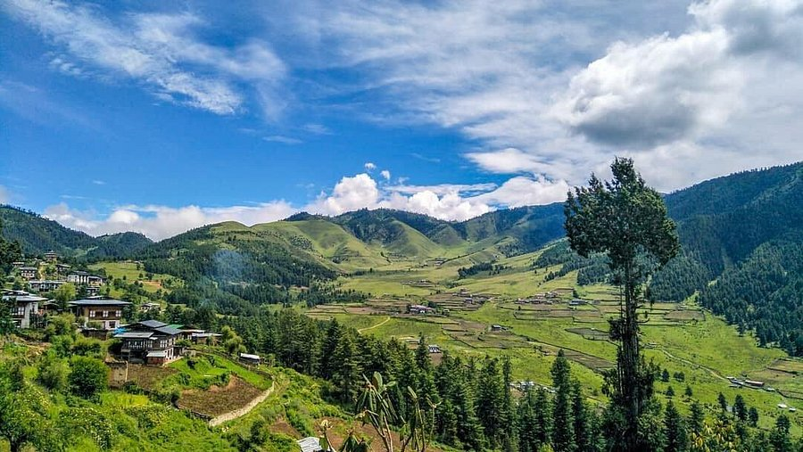 Black-Necked Crane Festival